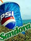 PepsiCo